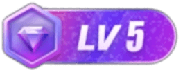 等级-LV5-青桔网