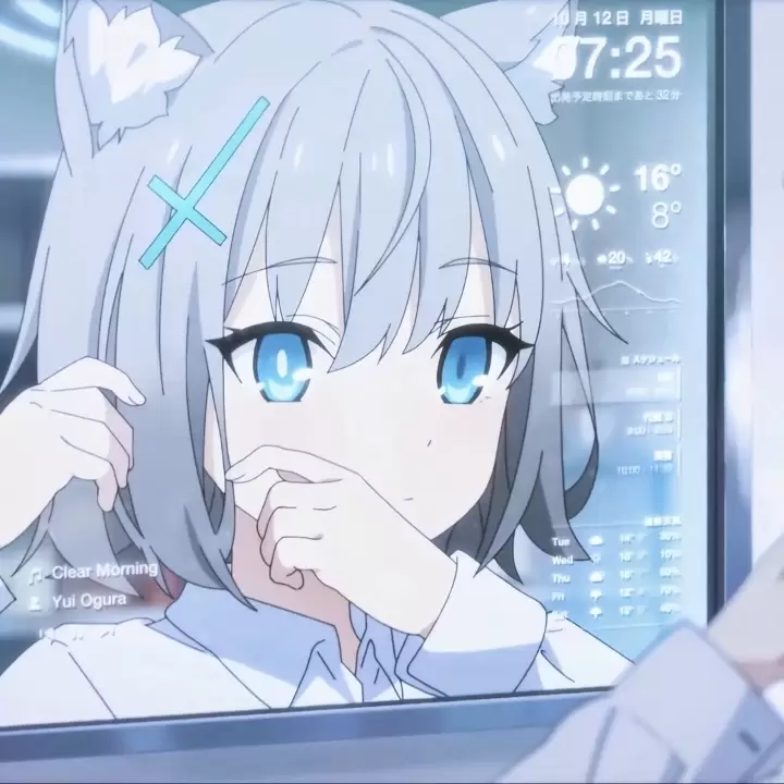 星滞-青桔网